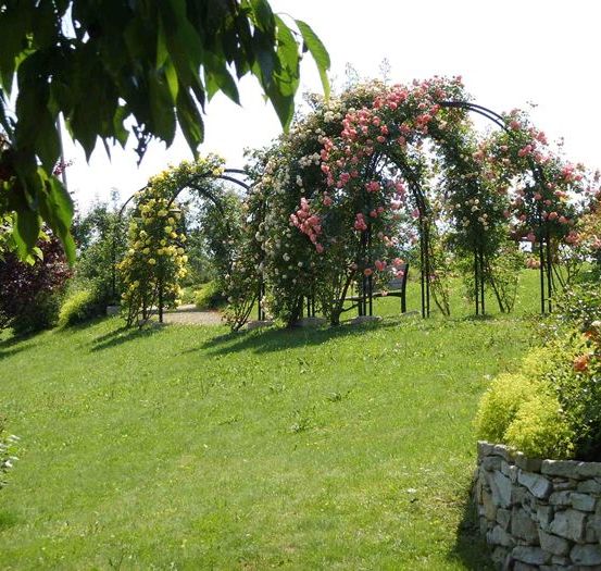 Bild enthält, Garden, Nature, Outdoors, Grass, Park, Arbour, Backyard, Villa, Lawn, Vegetation