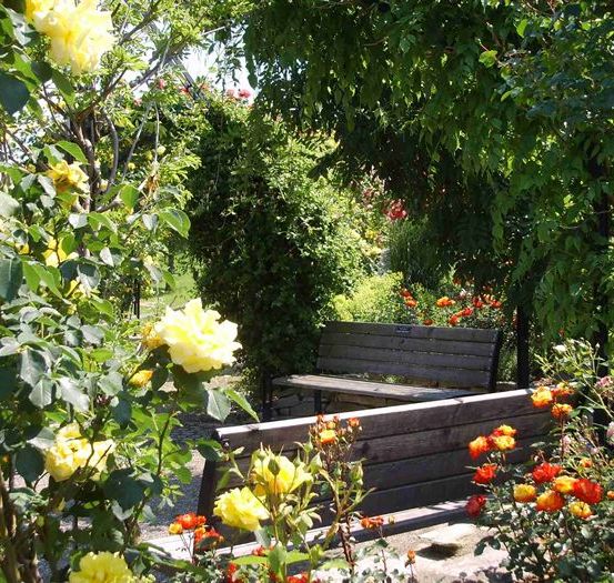 Bild enthält, Garden, Nature, Outdoors, Backyard, Vegetation, Bench, Flower, Rose, Park, Potted Plant