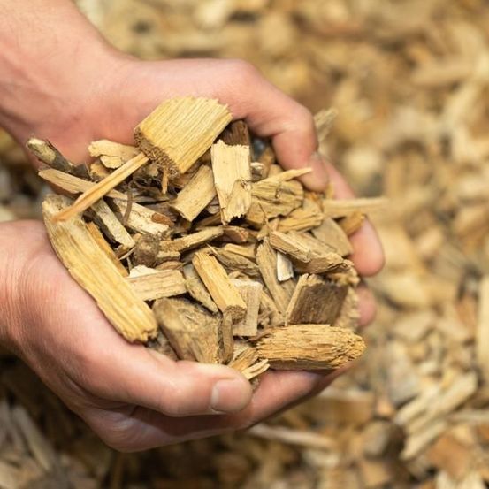 Bild enthält, Wood, Food, Spice