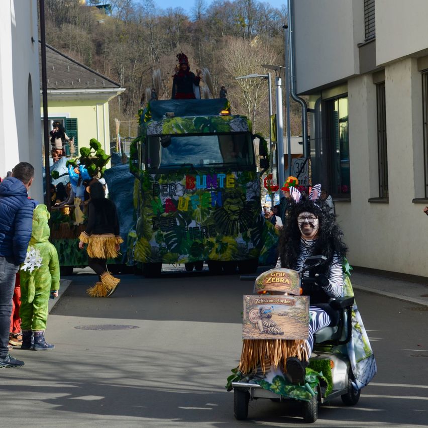 Ein festlicher Umzug mit einem dekorierten Lastwagen, auf dem Menschen in Kostümen stehen. Eine Person, die als Zebra verkleidet ist, fährt einen Golfwagen. Zuschauer in Kostümen beobachten von der Seite.