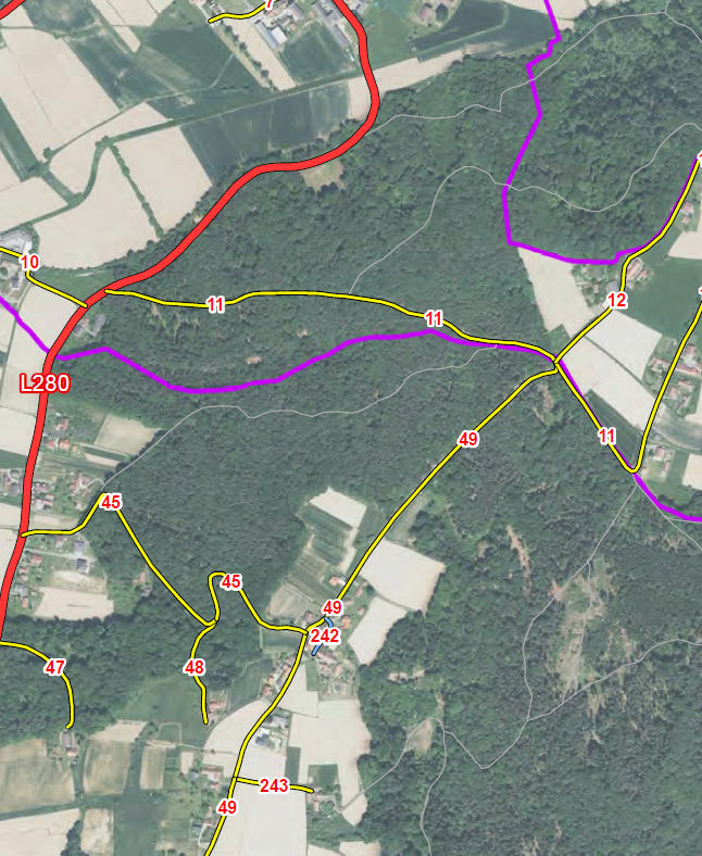 Eine Karte mit Straßennummern 10, 11, 12, 45, 47, 48, 49 und 242. Die Straßen sind in Rot, Gelb und Lila gehalten. Das Gebiet ist von grünen Feldern und Bäumen umgeben.