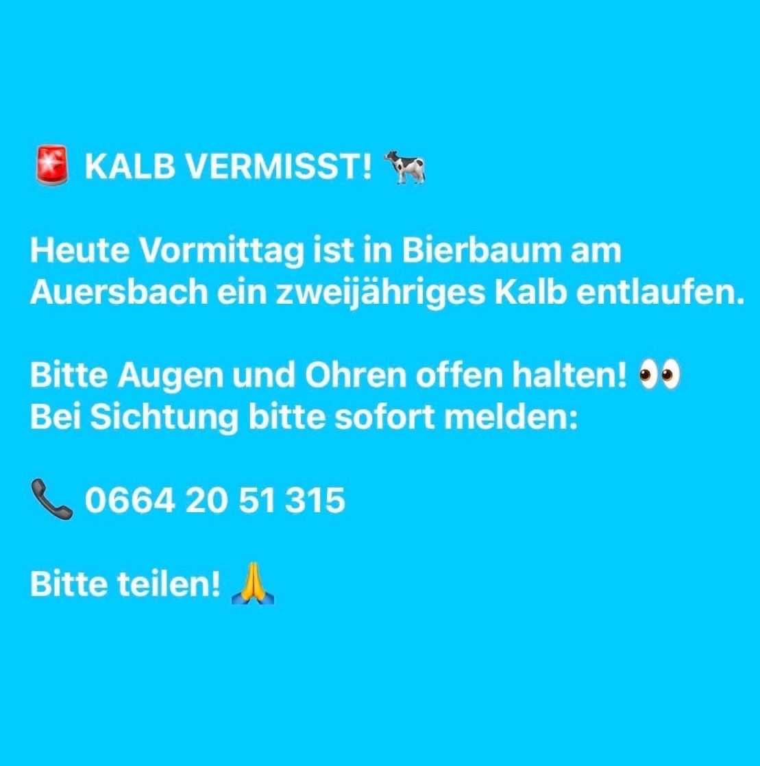 A two-year-old calf has gone missing in Bierbaum am Auersbach. Please keep your eyes and ears open. If you see it, please report it immediately. Phone number: 0664 20 51 315. Please share!