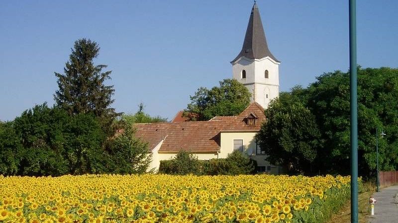 v1_migrated_image_86963352