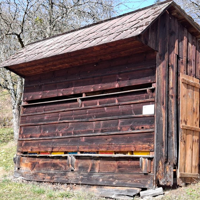 Eine alte Holzbienenzucht mit geneigtem Dach, teilweise geöffnet und zeigt innere Rahmen, vor einem Hintergrund mit Rasen und kahlen Bäumen.