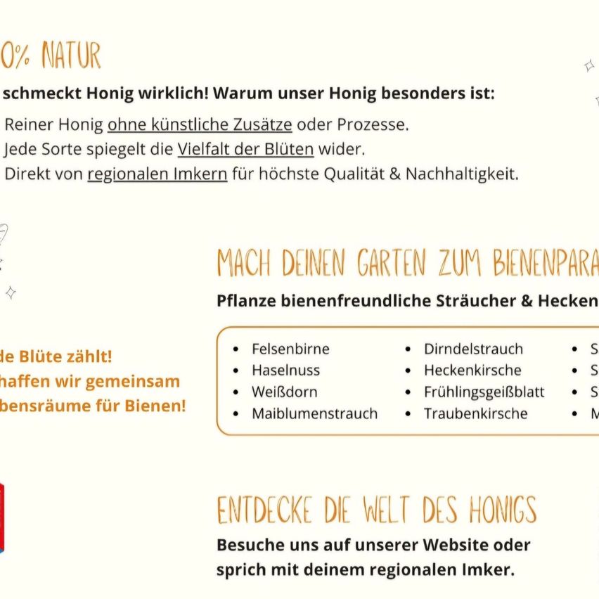 Ein Infografik über ein Honigunternehmen, das seinen reinen Honig, die Vielfalt der Geschmacksrichtungen und Tipps für bienenfreundliches Gärtnern hervorhebt. Es enthält eine Liste bienenfreundlicher Pflanzen und ermutigt zum Besuch ihrer Website oder zum Gespräch mit einem regionalen Imker.