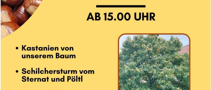 Plakat für das 3. Kastanienfest am 12. Oktober 2025. Aktivitäten umfassen Kastanien von ihrem Baum, Kastanienbaum von Sternat und Poltl, italienische Süßigkeiten und musikalische Unterhaltung.