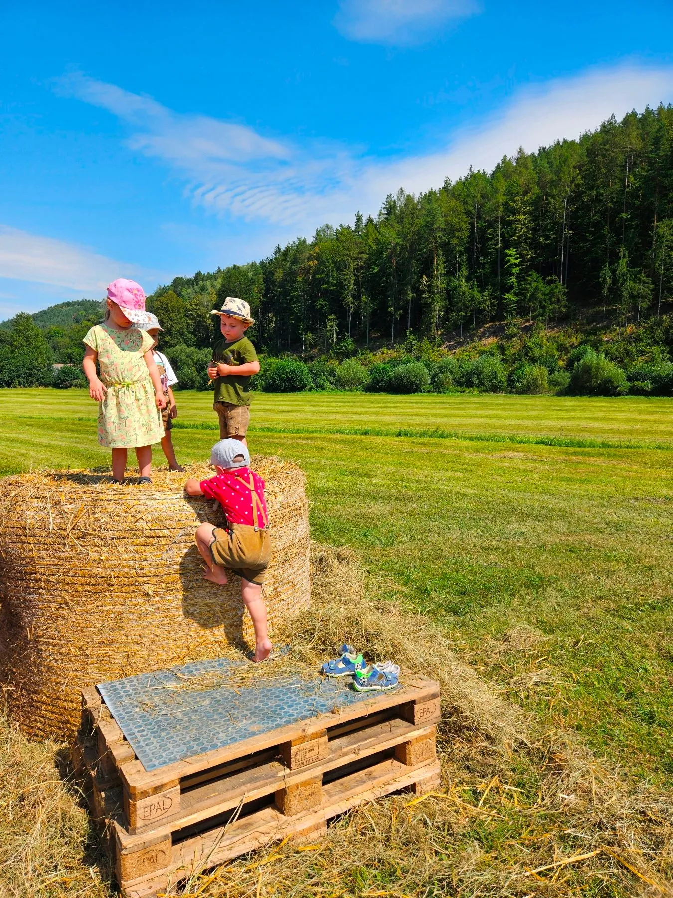 Grass, Person, Hat, Photography, Child, Female, Girl, Outdoors, Nature, Portrait