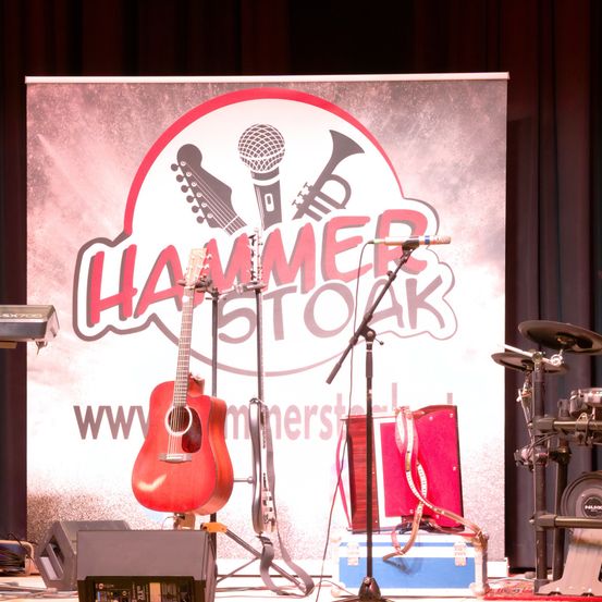 Stage, Electrical Device, Microphone, Concert, Crowd, Guitar, Musical Instrument, Group Performance, Music Band, Performer