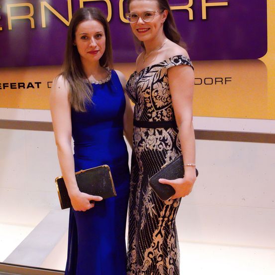 Dress, Evening Dress, Formal Wear, Fashion, Adult, Female, Person, Woman, Premiere, Wallet