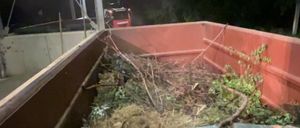 Bild enthält, Potted Plant, Jar, Planter, Pottery, Vase, Soil, Outdoors, Nature, Head