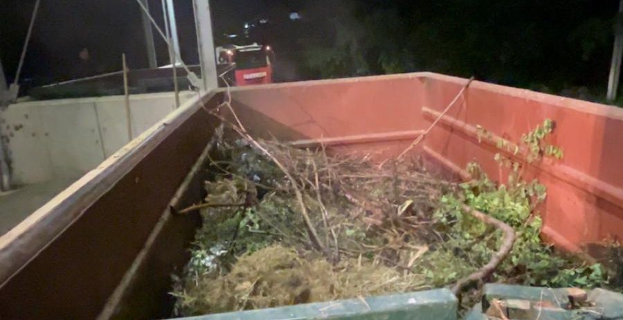 Bild enthält, Potted Plant, Jar, Planter, Pottery, Vase, Soil, Outdoors, Nature, Head