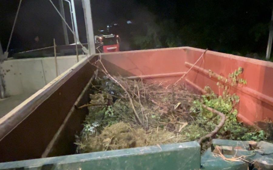 Bild enthält, Potted Plant, Jar, Planter, Pottery, Vase, Soil, Outdoors, Nature, Head