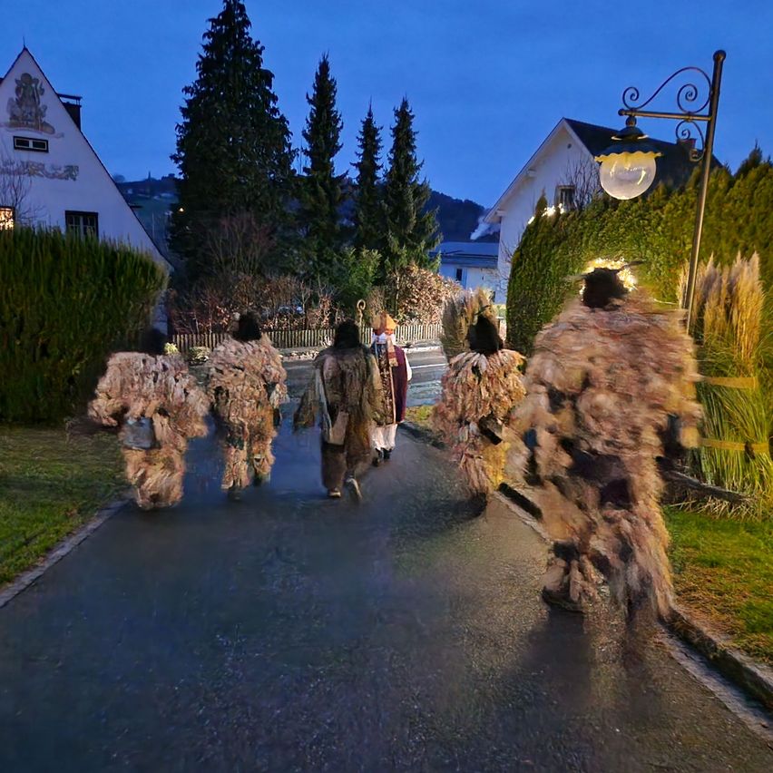 Eine Gruppe von Menschen in Tierkostümen, die bei Nacht auf einer Straße gehen. Im Hintergrund sind Bäume und Häuser zu sehen.