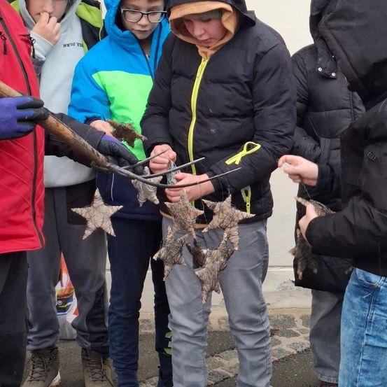 Eine Gruppe junger Menschen untersucht Seesterne, einige halten sie in den Händen. Sie sind in warme Kleidung gekleidet, und eine Person trägt Handschuhe.