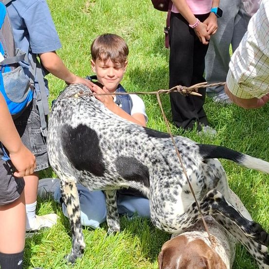 Ein Junge streichelt einen Dalmatiner, der auf dem Gras liegt, während andere Kinder und Erwachsene um ihn herum stehen.