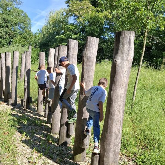 Fünf Kinder klettern auf Holzpfosten in einem Grasfeld mit Bäumen im Hintergrund.