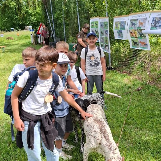 Eine Gruppe von Kindern mit Rucksäcken streichelt einen gefleckten Hund in einem Park mit einem Zaun und Postern im Hintergrund.