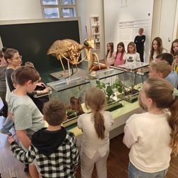 Eine Gruppe von Kindern und Erwachsenen versammelt sich in einem Museum um eine große Insektenausstellung, mit einem großen Insektenmodell und mehreren Glasvitrinen mit Pflanzen und Insekten.