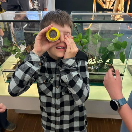 Ein junger Junge in einem karierten Hemd schaut durch eine gelbe Lupe auf eine Pflanze in einer Glasvitrine.