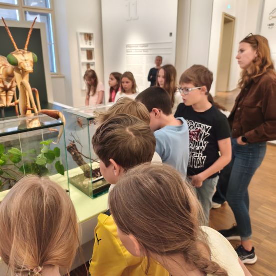 Eine Gruppe von Kindern und einer Frau betrachten eine Ausstellung von Insekten in einem Glaskasten. Die Insekten befinden sich in einem Terrarium mit Pflanzen und einem Holzast.