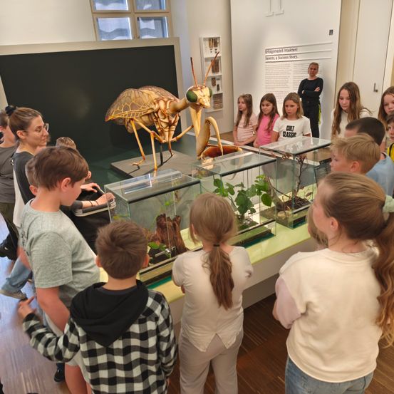 Eine Gruppe von Kindern und Erwachsenen versammelt sich um ein großes Insektenmodell und zwei Glastanks mit Pflanzen darin.
