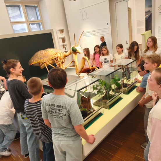 Eine Gruppe von Kindern und Erwachsenen versammelt sich in einem Museum um eine Vitrine und beobachtet eine große goldene Gottesanbeterin und mehrere kleine Pflanzen in Glasbehältern.