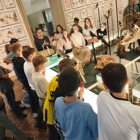 Eine Gruppe von Kindern und Erwachsenen versammelt sich um eine Ausstellung von ausgestopften Tieren und Vögeln in einem Museum.