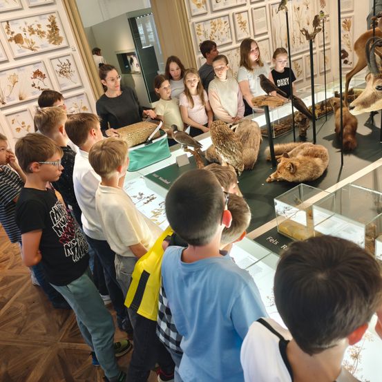 Eine Gruppe von Kindern und Erwachsenen versammelt sich um eine Vitrine in einem Museum und betrachtet verschiedene ausgestopfte Tiere und Pflanzen.