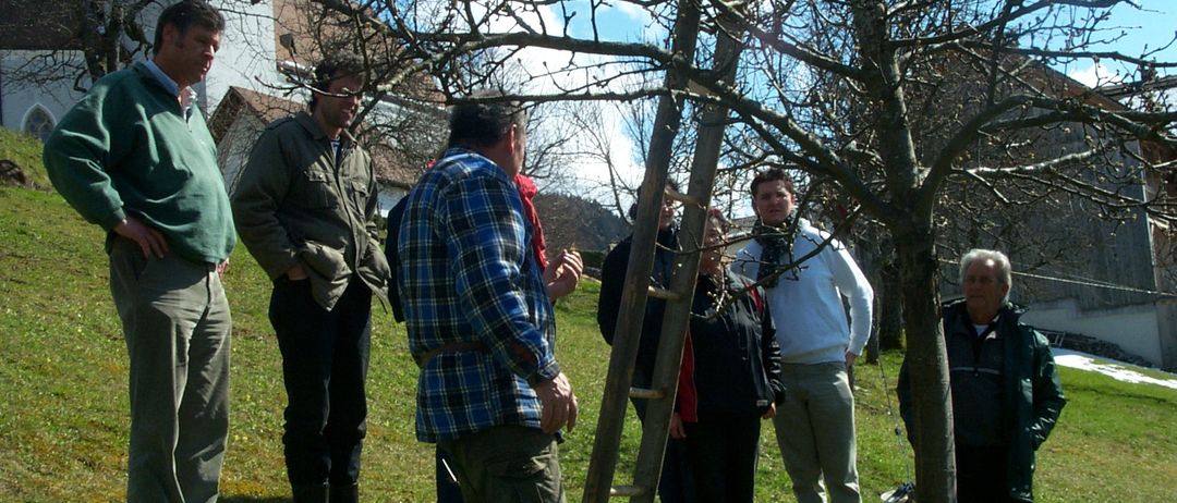 Bild enthält, Grass, Pants, Adult, Male, Man, Person, Tree, Coat, Walking, Lawn