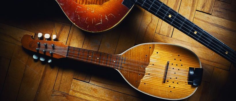 Bild enthält, Mandolin, Musical Instrument, Lute, Guitar