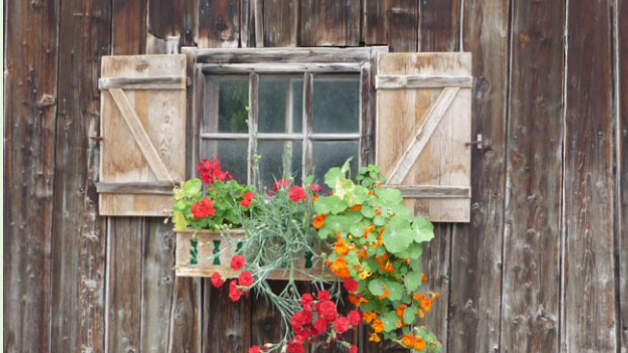 v1_migrated_image_60015510