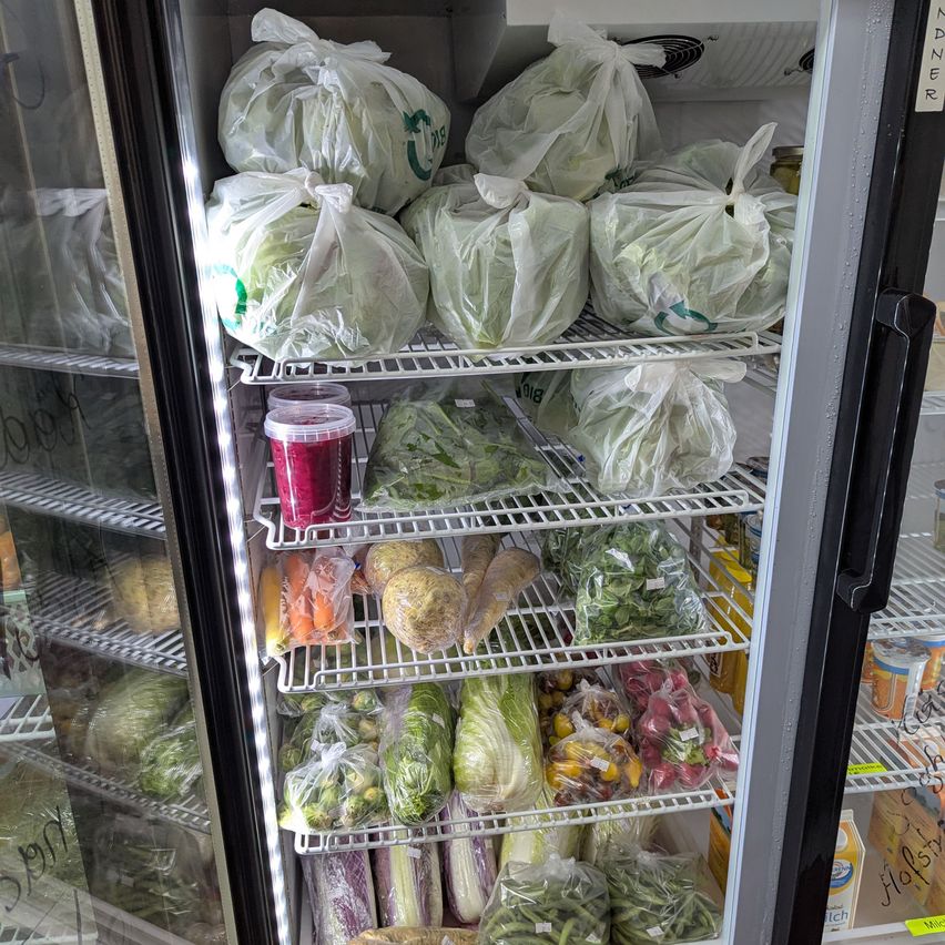 Ein Kühlschrank, gefüllt mit verschiedenen Gemüsesorten wie Salat, Karotten und Bohnen, ordentlich auf weißen Regalen angeordnet. Ein roter Behälter mit Deckel steht auf dem mittleren Regal.