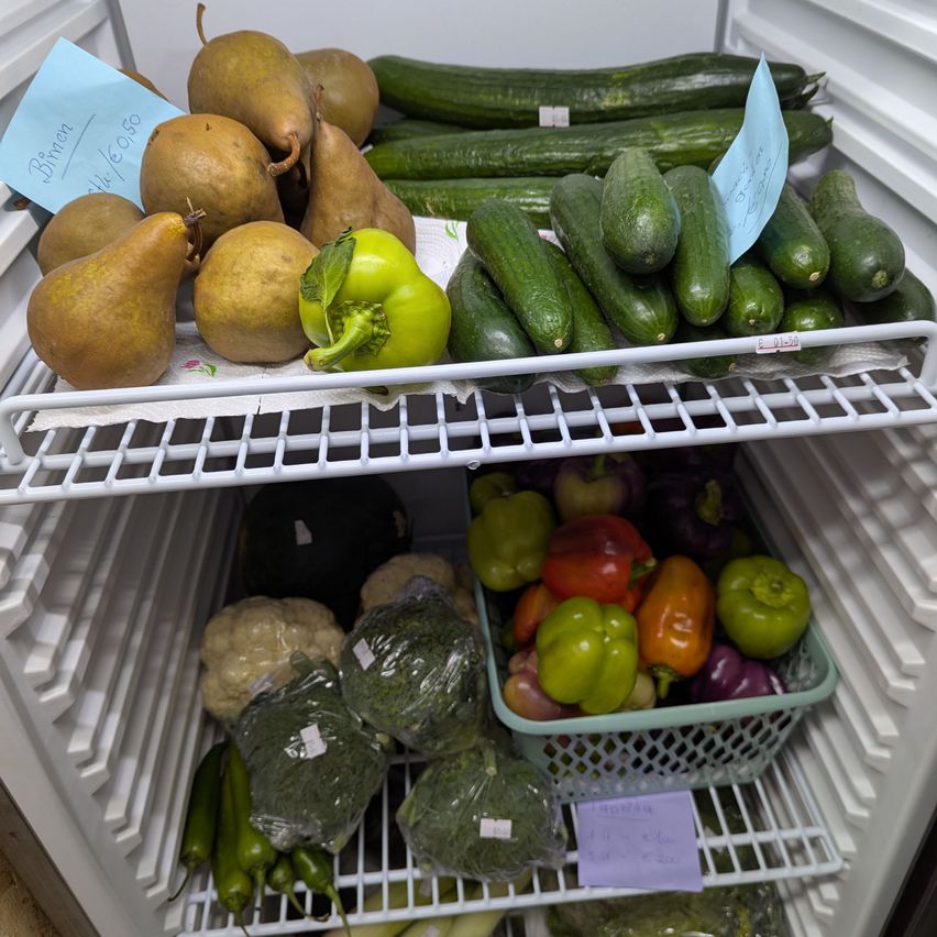 Ein Kühlschrankregal mit verschiedenen Gemüsesorten und Früchten. Das oberste Regal enthält Birnen und Gurken, während das untere Regal Paprika, Brokkoli und anderes Gemüse hat.