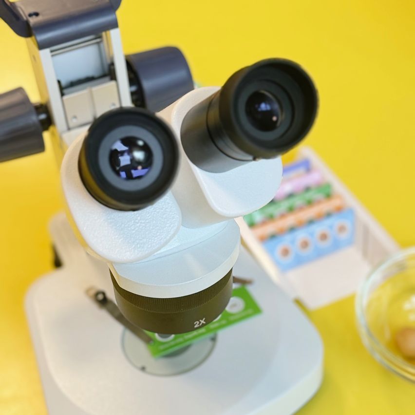 Ein Nahaufnahme eines weißen Mikroskops mit zwei Linsen auf einer gelben Oberfläche. Daneben befindet sich eine Glasschale mit einem Ei.