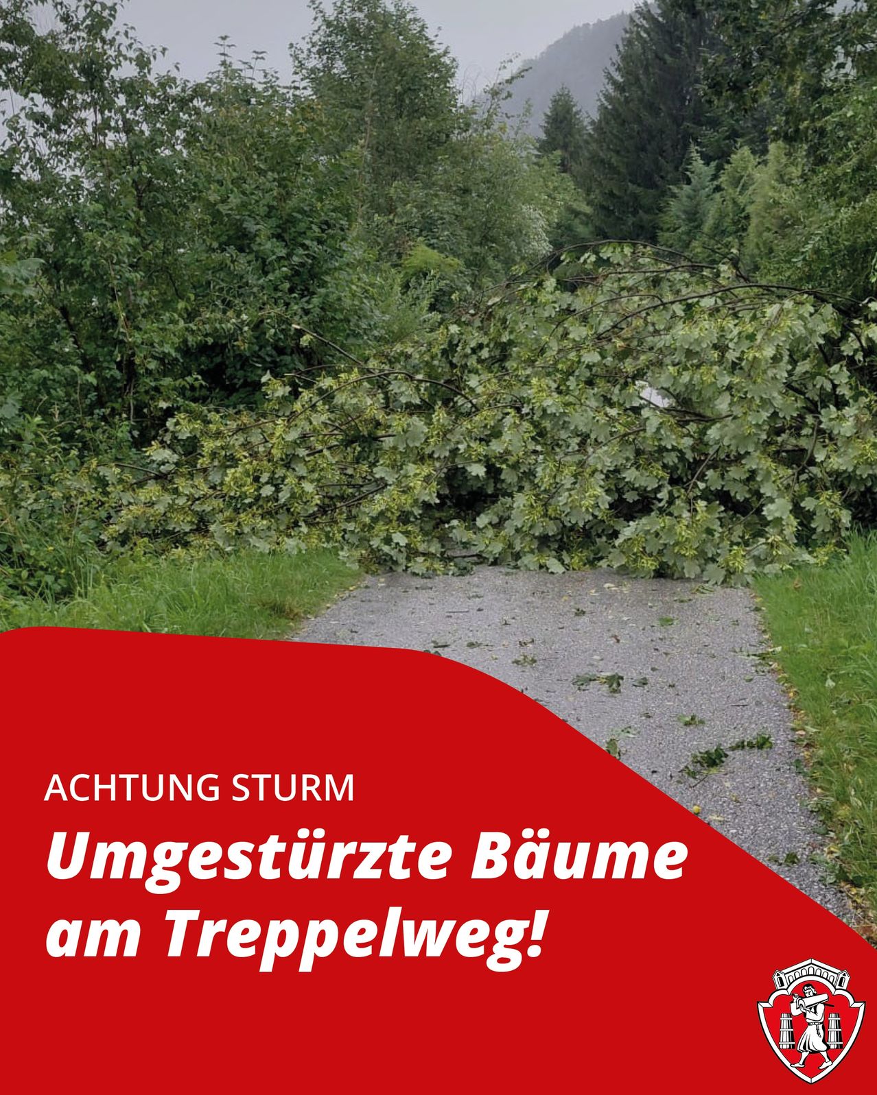 Ein rotes Warnsignal weist auf umgestürzte Bäume auf einem Weg hin. Die Bäume liegen auf dem Boden und blockieren den Weg. Das Schild ist auf Deutsch.
