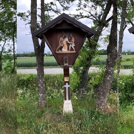 Bild enthält, Vegetation, Grass, Land, Nature, Outdoors, Woodland, Person, Housing, Graveyard, Zoo