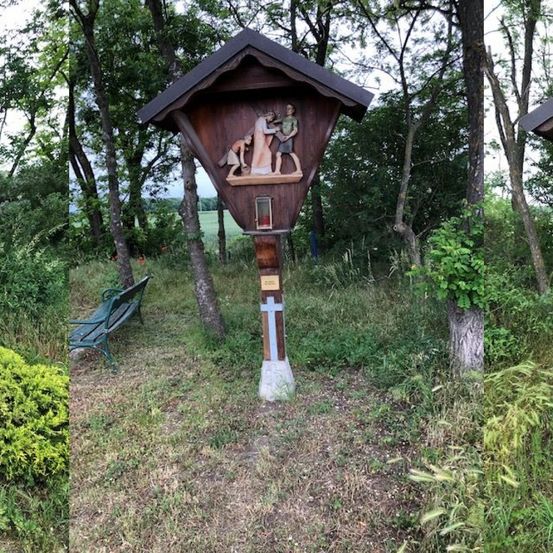 Bild enthält, Plant, Vegetation, Person, Bench, Furniture, Land, Outdoors, Woodland, Hotel, Resort