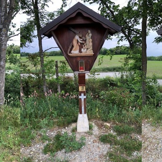 Bild enthält, Person, Plant, Vegetation, Grass, Outdoors, Graveyard