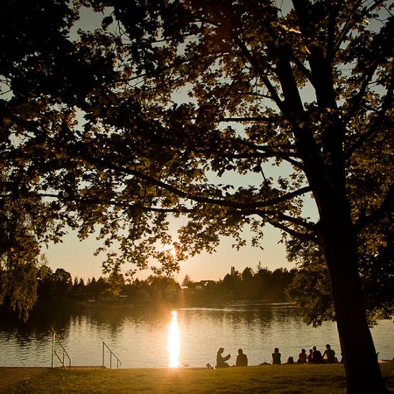 Bild enthält, Tree, Nature, Outdoors, Scenery, Sunlight, Flare, Lake, Vegetation, Sky, Tree Trunk
