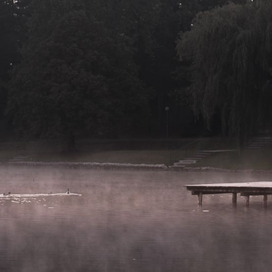 Bild enthält, Water, Waterfront, Pier, Port, Tree, Outdoors, Nature, Weather, Scenery, Lake