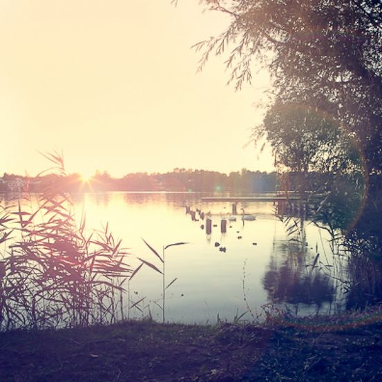 Bild enthält, Land, Nature, Outdoors, Sky, Pond, Vegetation, Sunlight, Flare, Sunrise, Grass