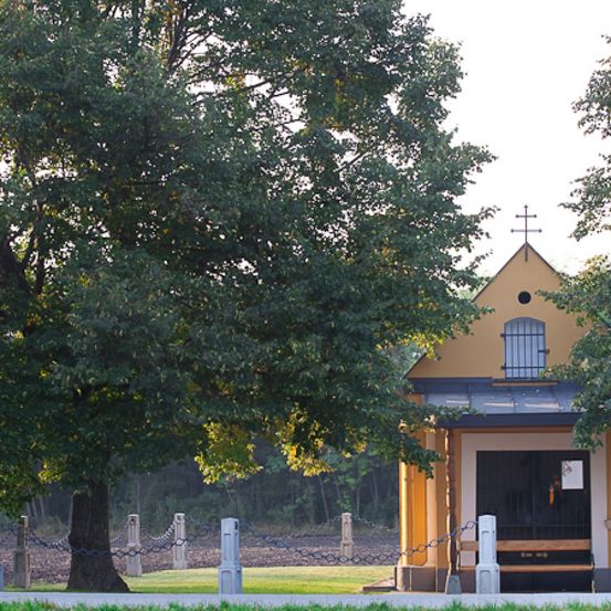 Bild enthält, Plant, Tree, Building, Monastery, Grass, Tree Trunk, Outdoors, Shelter, Nature, Graveyard