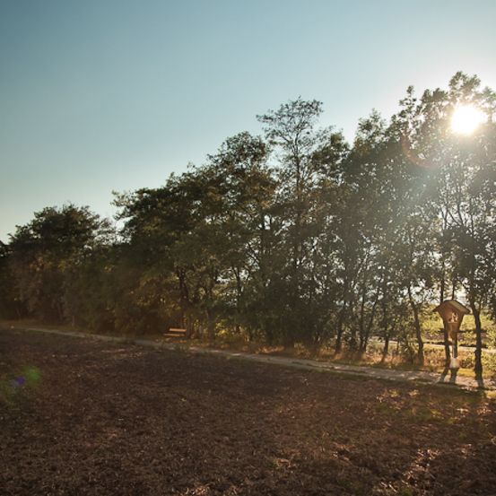 Bild enthält, Flare, Light, Sunlight, Gravel, Road, Nature, Outdoors, Sky, Scenery, Tree