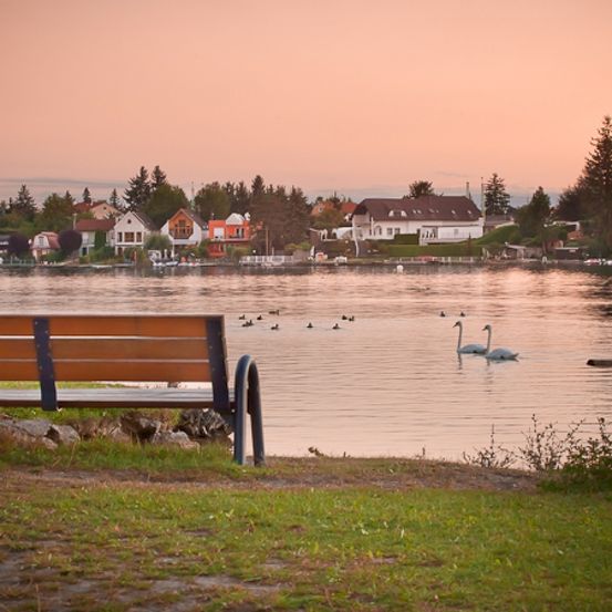Bild enthält, Bench, Furniture, Nature, Outdoors, Scenery, Water, Waterfront, Tree, Bird, Person