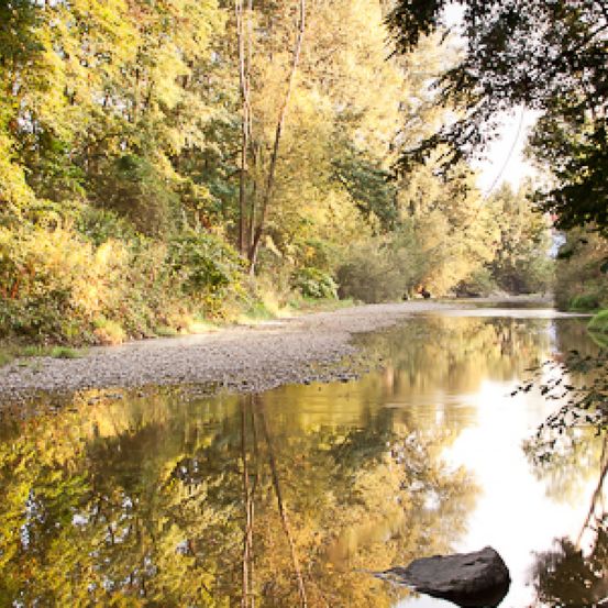 Bild enthält, Creek, Nature, Outdoors, Water, Pond, Canal, Land, Vegetation, Scenery, Tree