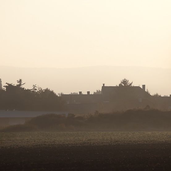 Bild enthält, Building, Spire, Tower, Nature, Outdoors, Weather, Fog, Grass, Plant, Mist