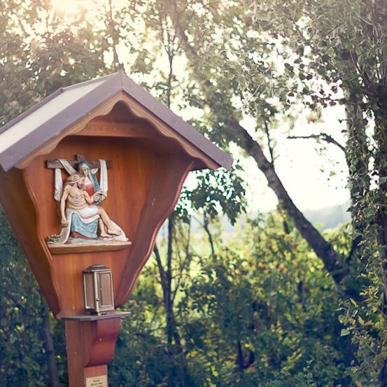 Bild enthält, Vegetation, Outdoors, Shelter, Tree, Tree Trunk, Mailbox, Jungle, Person, Rainforest, Woodland
