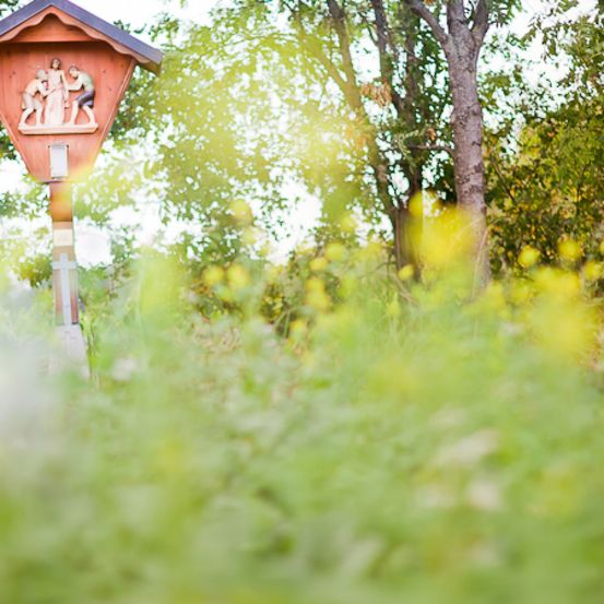 Bild enthält, Plant, Vegetation, Outdoors, Person, Nature, Mailbox