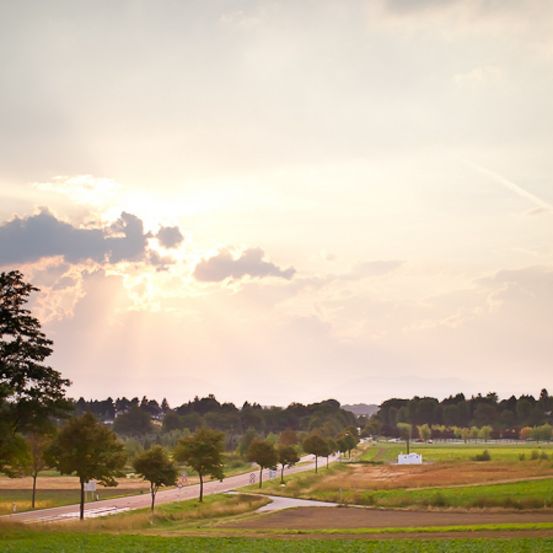 Bild enthält, Field, Nature, Outdoors, Sky, Grass, Grassland, Scenery, Tree, Landscape, Sunlight