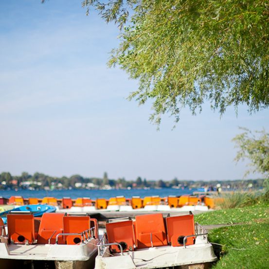 Bild enthält, Summer, Nature, Outdoors, Scenery, Tree, Water, Waterfront, Watercraft, Tree Trunk, Grass